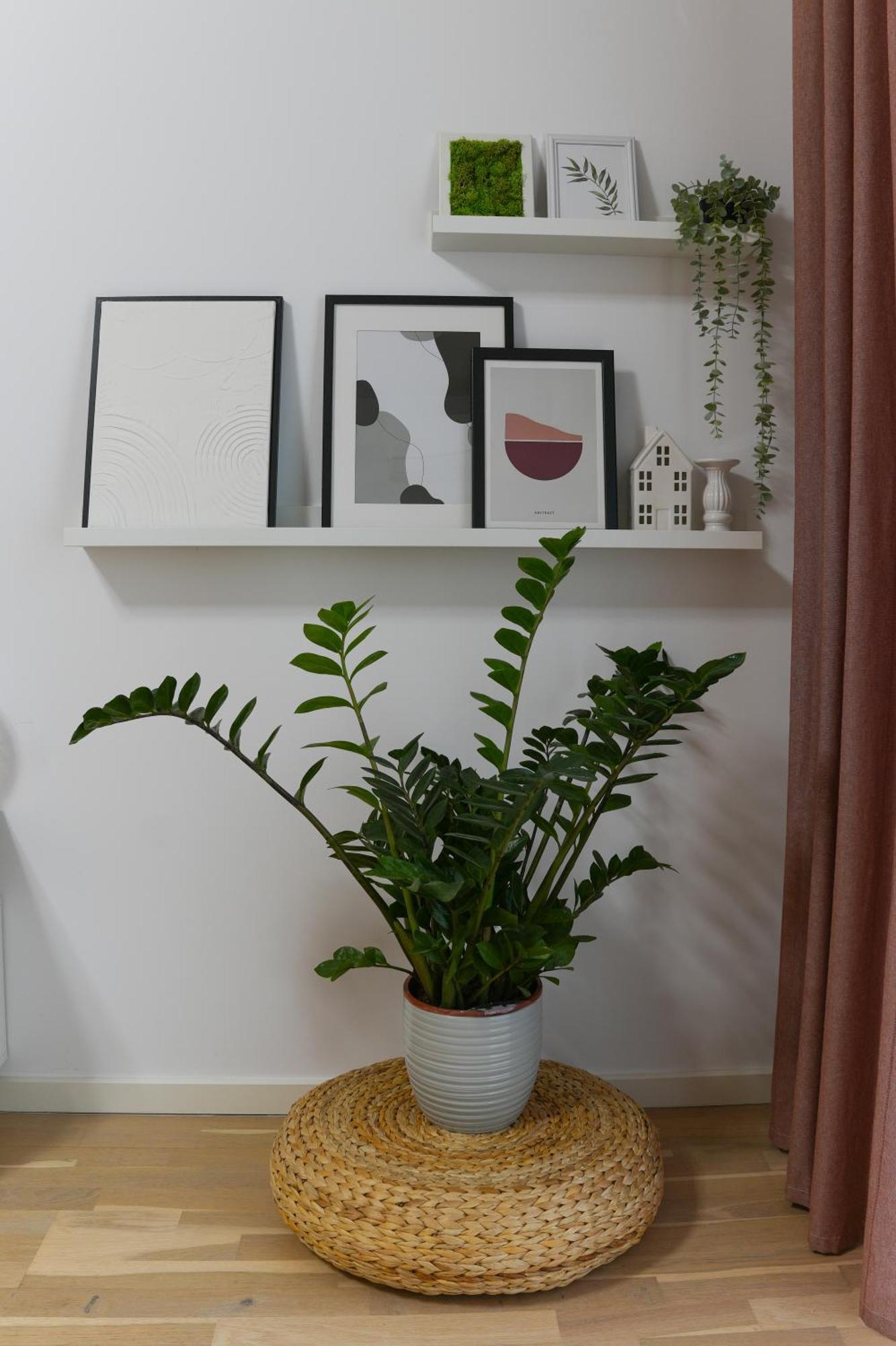 Amalia - Quiet 1Br Apartment With Parking & Wi-Fi บูคาเรสต์ ภายนอก รูปภาพ